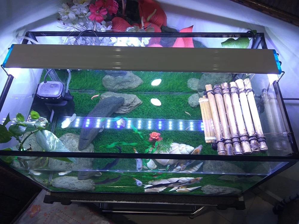 15-5-planted-aquarium-led-light-super-slim-fish-tank-aquatic-original-imagu97thwdbaebh-1000x1000
