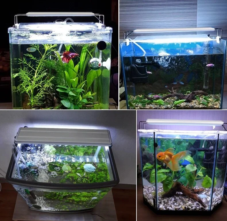 15-5-planted-aquarium-led-light-super-slim-fish-tank-aquatic-original-imagu9cnwtcfnkjw-1000x1000