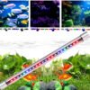 submersible aquarium heater