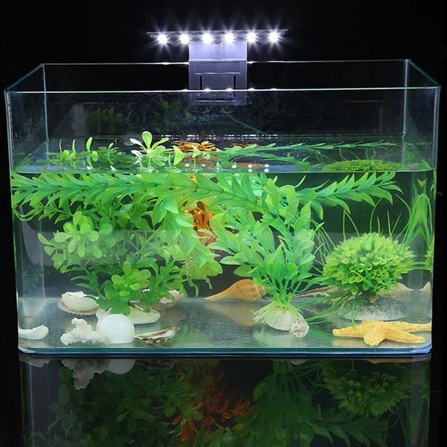 5-aquarium-led-light-ultra-thin-mini-clip-on-aquarium-lamp-with-original-imaguzaps6egeafg-1000x1000