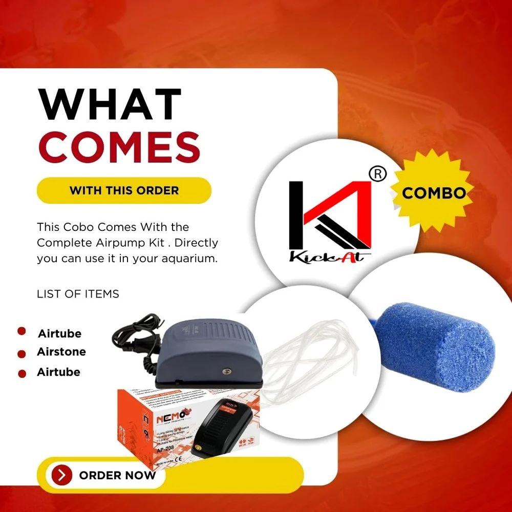 61kh1gzbtvl-sl1080-1000x1000