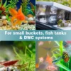 1 Inch Air Stone Cylinder Bubble Diffuser Airstones For Aquarium Fish Tank Pump(MULTICOLOUR) 10piece - Image 3