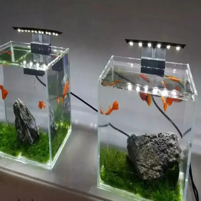 aquarium-led-light-ultra-thin-mini-clip-on-aquarium-lamp-with-white-and-blue-light-1000x1000 (2)