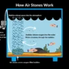 double-outlet-aquarium-oxygen-air-pump-for-air-bubble-and-oxygen.