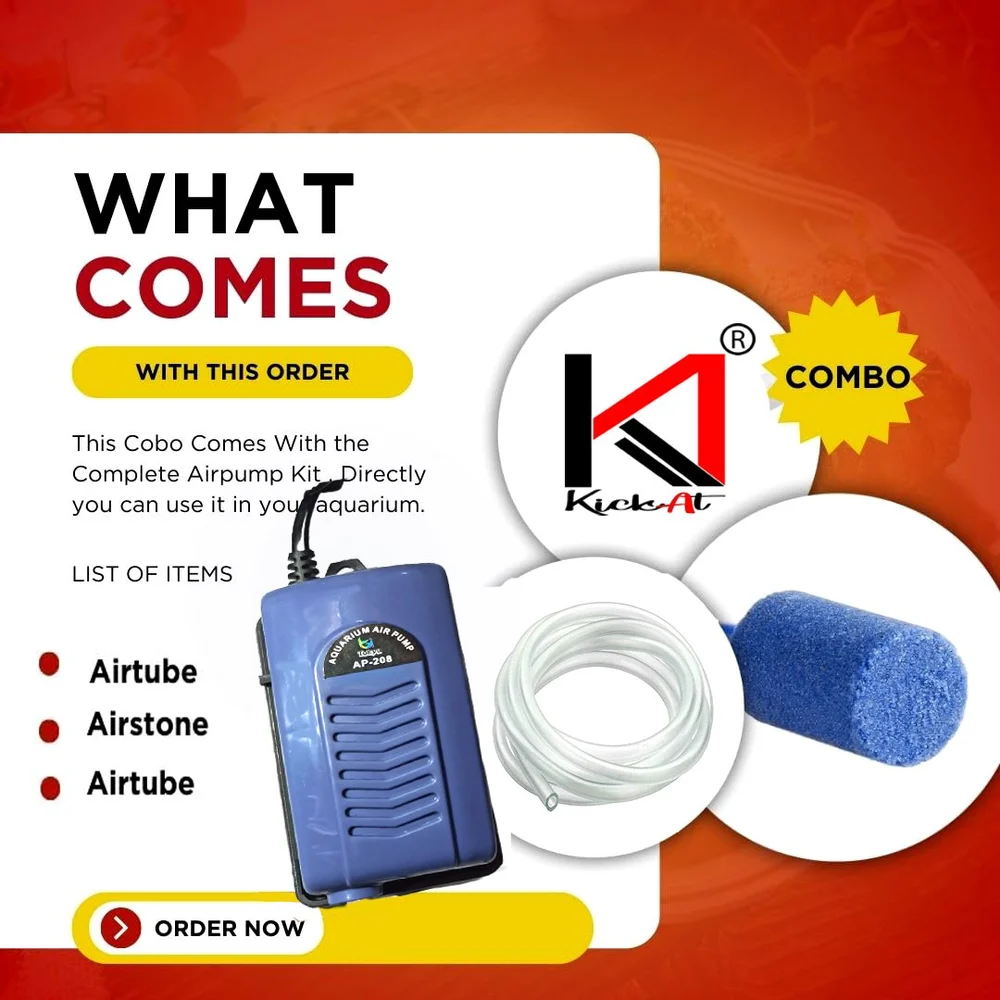 fgdfgfdgfd-1000x1000